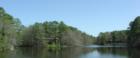 Mimosa Lake