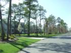 The Bluff