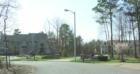 The Bluff
