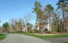 The Bluff - early spring
