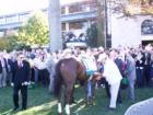 Keeneland - The Paddock