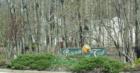 Packenah Trail entrance