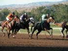 Summer in Boise is great for a day at the races!  Enjoy them May through August.