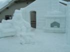 Winter Carnival