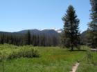 Loon Lake loop trail