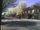 Ho-Ho-Kus in the Spring