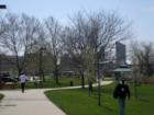 Canal Park in Downtown