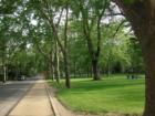 The actual park in Curtis Park
