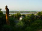 This eagle has his eye on Davenport's Mississippi Riverfront from Lucky Lang's property at 714 Grand Avenue.