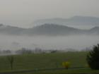 Misty Morning in Seymour