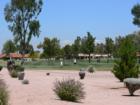 Golf in Sun Lakes photo1