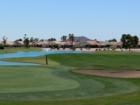 Golf in Sun Lakes photo4