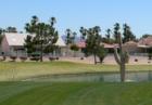 Golf in Sun Lakes photo6