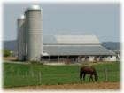 A horse grazes on a breezy spring 2007 afternoon with a farm beyond.