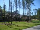 Photo of tree lined custom homes in Stonewater.
