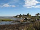 Turbitts Creek in Kennebunkport