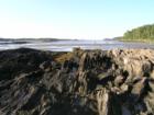 Looking over the rocks at Sagadahoc Bay at low tide.