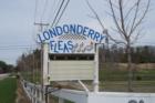 Londonderry - Flea Market (c) Joan Whitebook