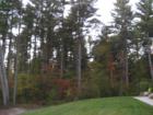 Fall @ "Pillsbury Village"