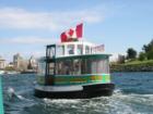 Harbor Ferry