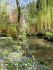 Butchart Gardens
