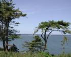 View from a Waterfront Listings