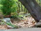 Vickery Greenspace & Walking Trails