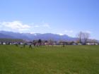 El Pomar youth center; soccer game, with Rocky Mountains in the background