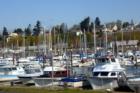 Squalicum Harbor Marina