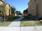 Greenhaven has HOA-maintained foot paths connecting different streets throughour the neighborhood.