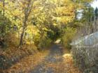 Fall colors down a back alley in Leavenworth