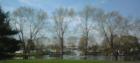 Tricia Meadows - lake by community center / office