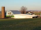 The "cow mural" near Manheim, PA