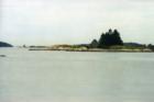 Muscle Ridge Islands