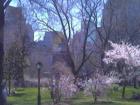 Central Park - In Manhattan, NY