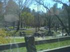 Central Park - In Manhattan, NY