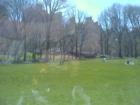 Central Park - In Manhattan, NY