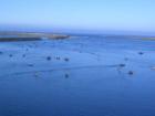 Bay fishing at the mouth of the Famous Rogue River.