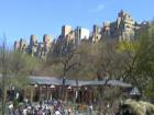 Central Park Zoo - Central Park - Manhattan
      Looking from within the zoo, looking out.