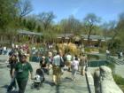 Central Park Zoo - Central Park - Manhattan
      Right after entering the zoo.