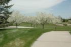 Springtime in Grant Ranch, Littleton, CO