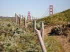 Baker Beach in San Francisco.  Some serious views!