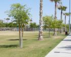 Community Park in Summerlin has two soccer fields and a playground.