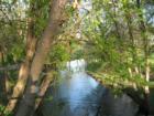 Minnehaha Creek as seen near Lake Hiawatha in Minneapolis.