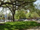 Town Common down town Ocala Florida