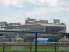 Pimlico Grandstand 
      HomeRome.com
