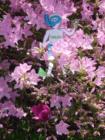 Baltimore Azaleas
      HomeRome.com