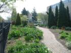 Another Garden Shot at Mt. Carmel Church