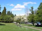 A leisurely stroll at Green Lake Park.