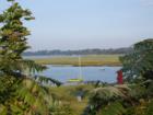 View across marshes